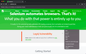 selenium automates browsers