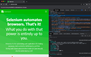 How to Click Faster: Selenium vs The World Faster Clicker - DEV Community