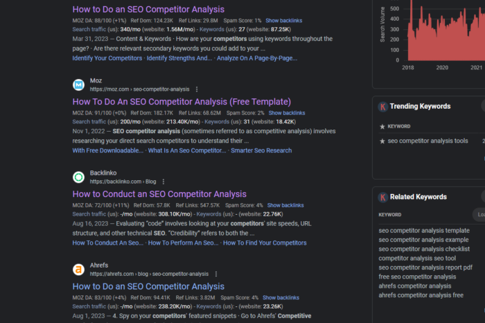 SEO Competitor Analysis SERP